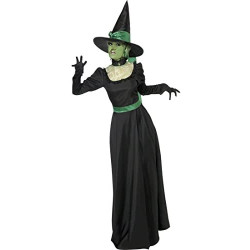 Wicked Witch Adult Costume