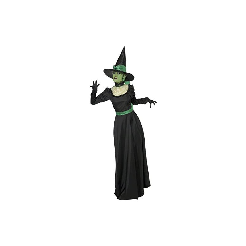 Wicked Witch Adult Costume