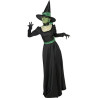 Wicked Witch Adult Costume