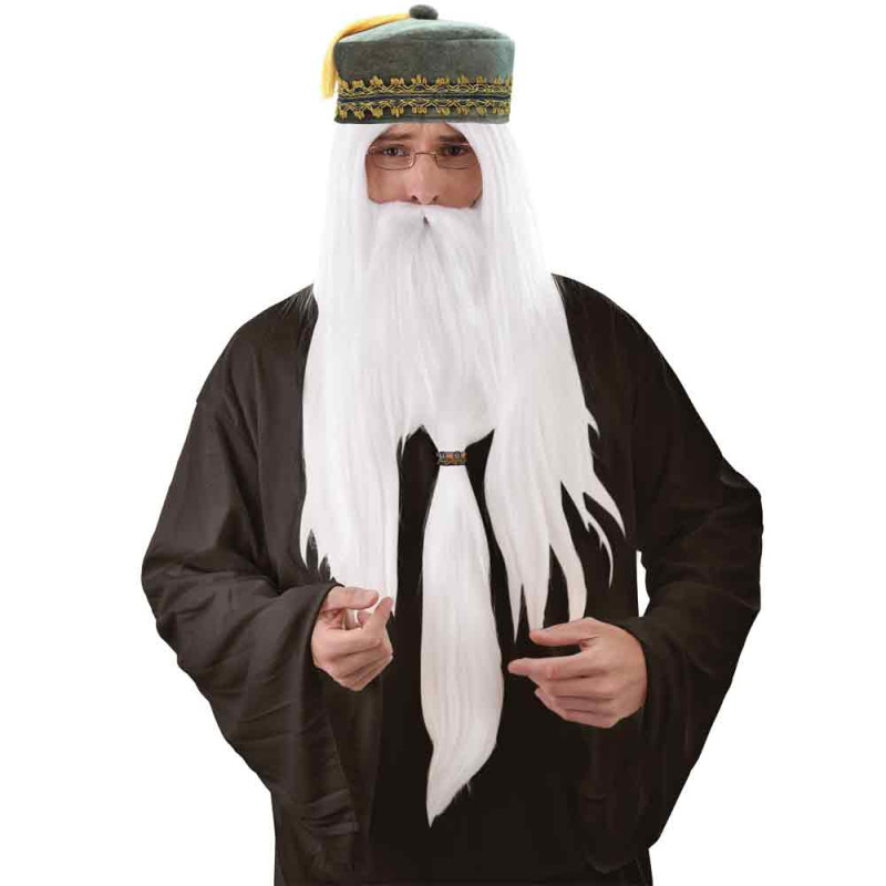 Merlin Wizard Wig & Beard