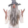 Wizard Beard & Wig