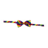 Rainbow Bowtie