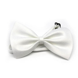 White Bowtie