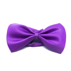 Purple Bowtie