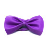 Purple Bowtie