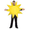 Sunny Day Adult Costume