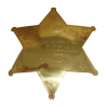 Gold Marshall Badge