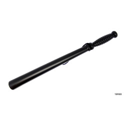 Police Baton