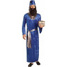 Wiseman Adult Costume