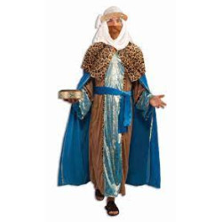 Sapphire Wiseman Adult Costume