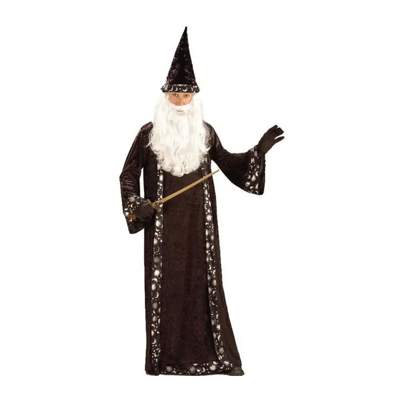 Mr Wizard Adult Costume