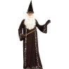 Mr Wizard Adult Costume