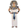 Super Tut Adult Costume