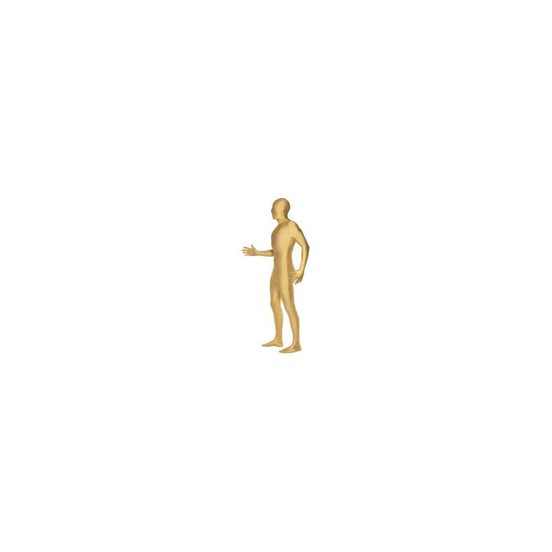 Gold Morphsuit Adult Costume