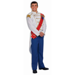 Prince Charming Adult Costume