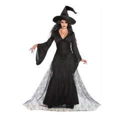 Black Mist Witch Adult Costume