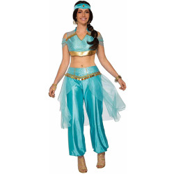 Harem Girl Adult Costume