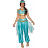 Harem Girl Adult Costume