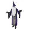 Wizard Adult Costume