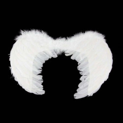 Angel Wings 50cm