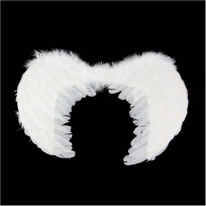 Angel Wings 50cm