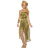 Gold Long Toga Adult Costume