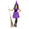 Two Tone Purple Witch Adult Costume