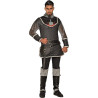 Rogue Prince Tunic Adult Costume