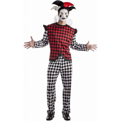 Zany Harlequin Adult Costume