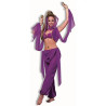 Desert Princess Adult Costume