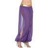 Purple Harem Pants