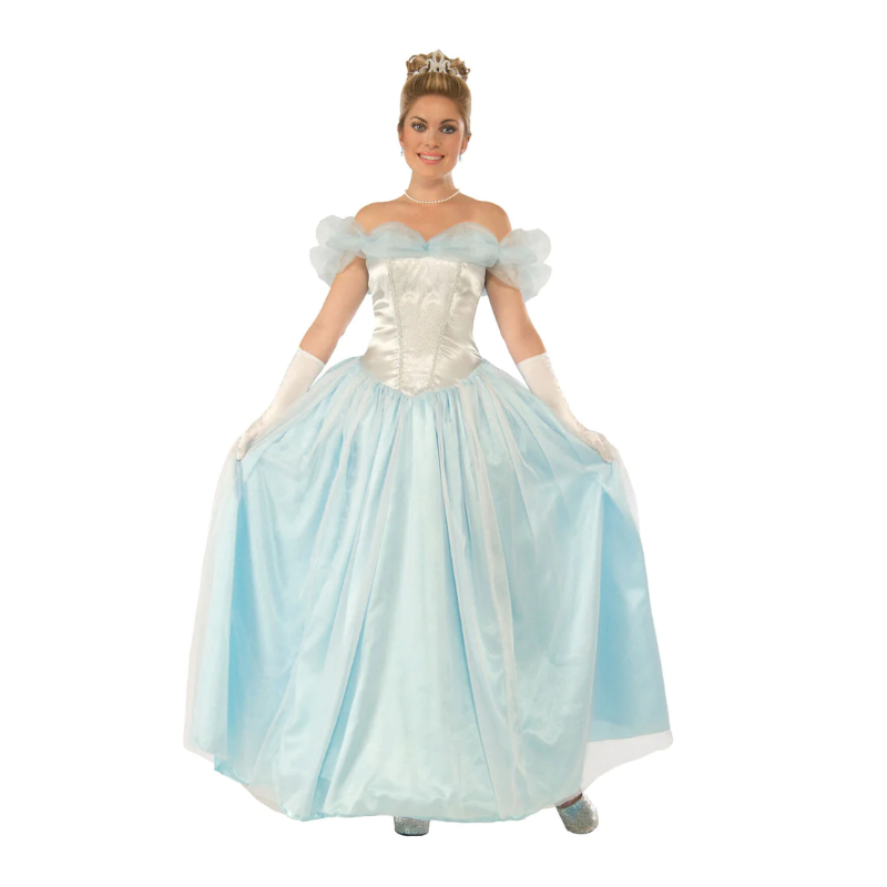 Happily Ever After Princess Adult Costume Size One Size