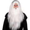 Sorcerer Wig and Beard