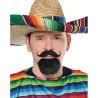 Fiesta Moustache Goatee Set