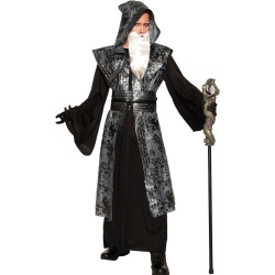 Wicked Wizard Adult Costume