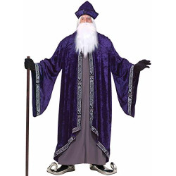 Wizard Adult Costume