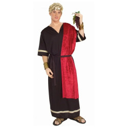 Roman Senator Costume