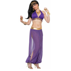 Harem Costume Kit