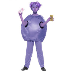 Violet Beauregarde Children Costume