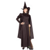 Classic Witch Adult Costume