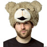 Ted Bear Hat