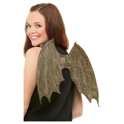 Dragon Wings Adult Costume