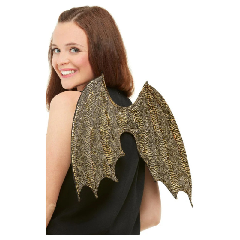 Dragon Wings Adult Costume