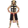 Pharaoh Adult Costume