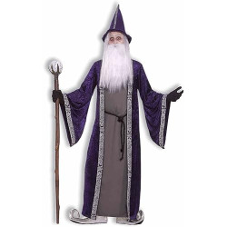 Wizard Child Costume