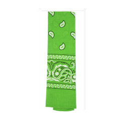 Cowboy Light Green Bandana