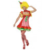 Boo Boo The Clown Adult Costume